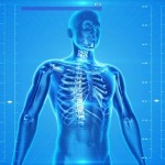 人間の科学