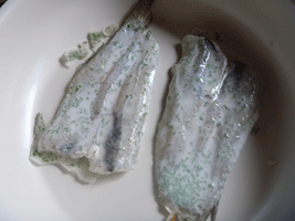 白身魚のヨモギ風味焼yomogi5[1]