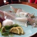 イカの刺身