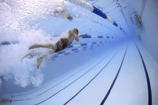 水泳の運動
